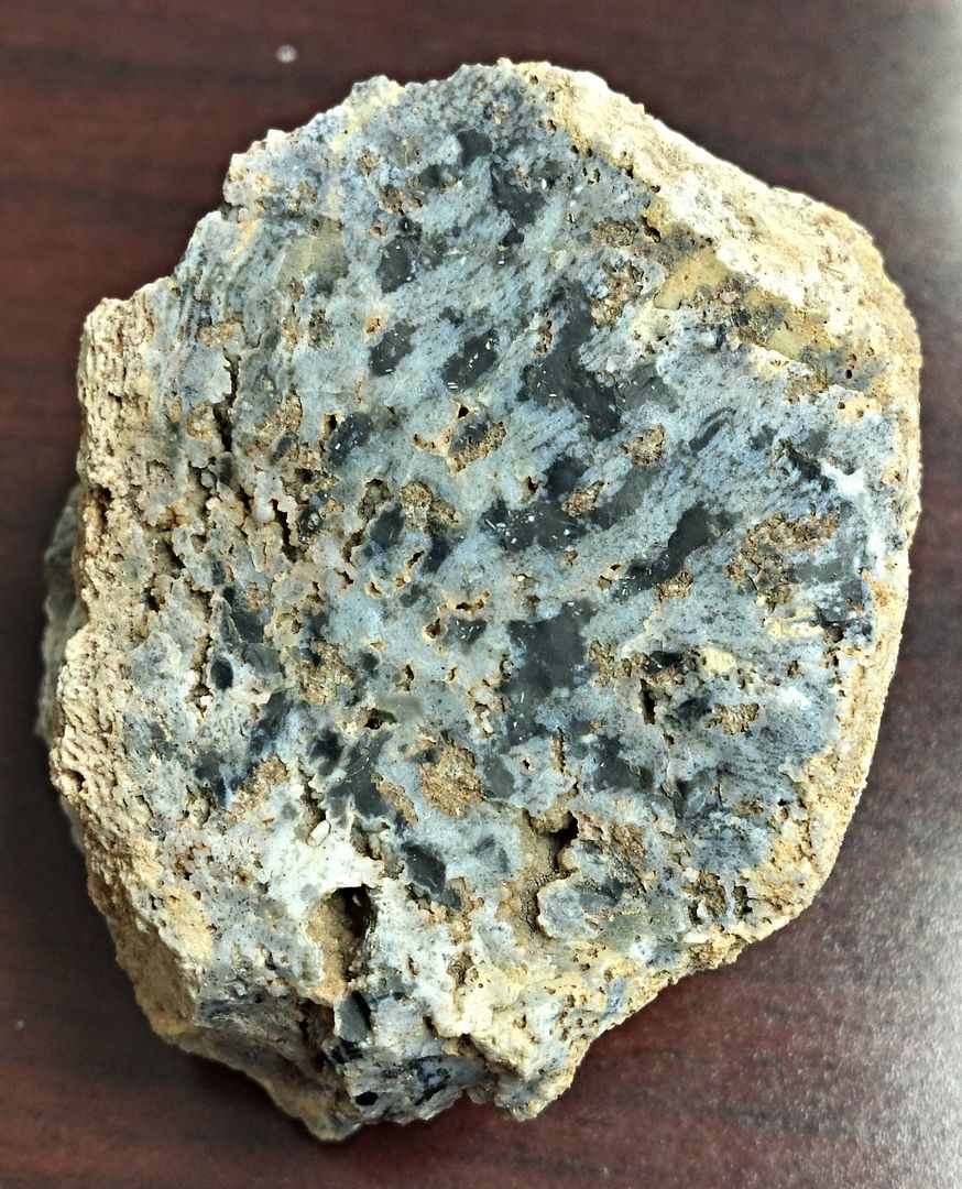 Crinoid Limestone Rock Tumbling Hobby